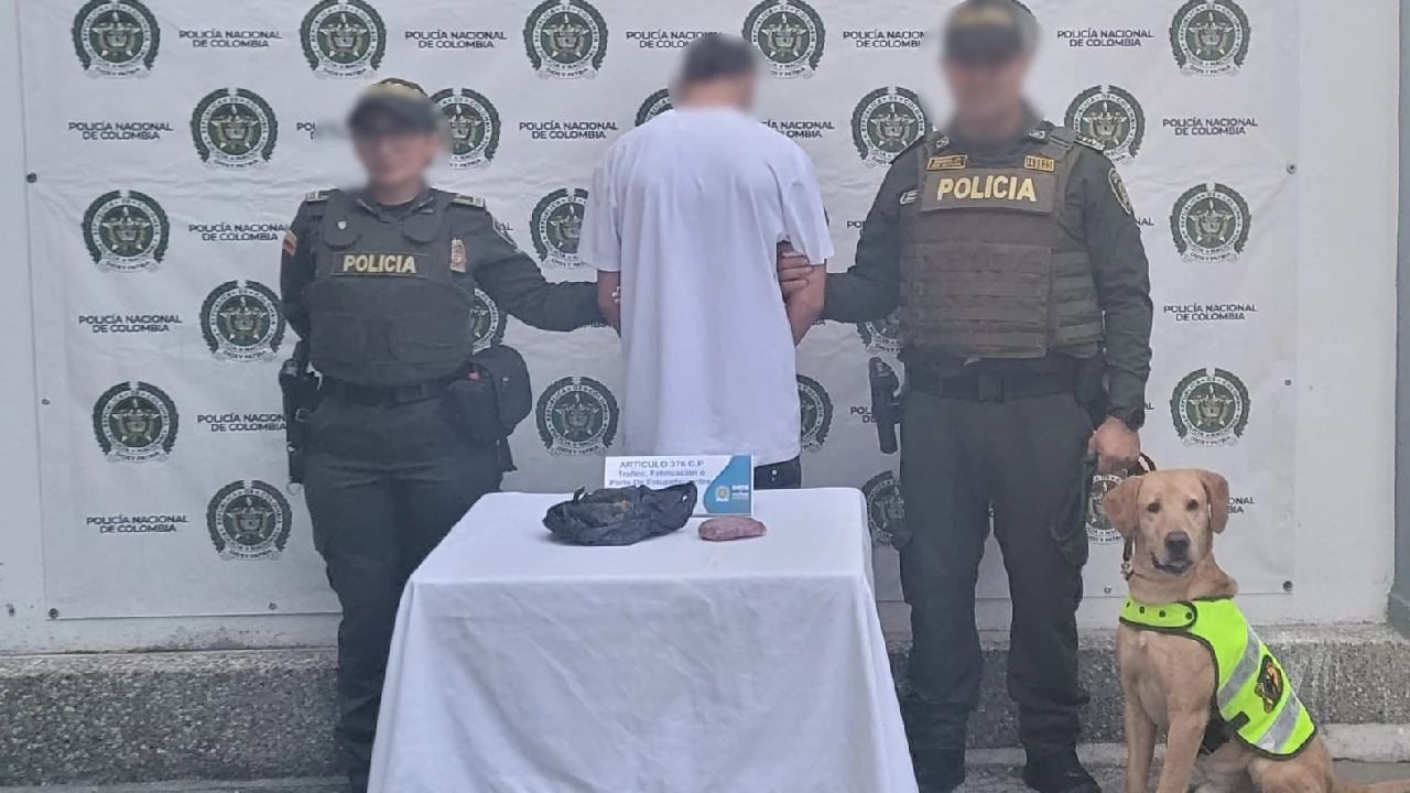 capturas-droga-estupefacientes-operativo-seguridad-guarne