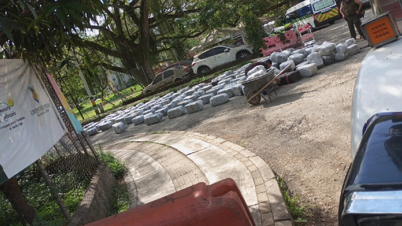 cargamento-marihuana-lapintada-incautacion-suroesteantioquia