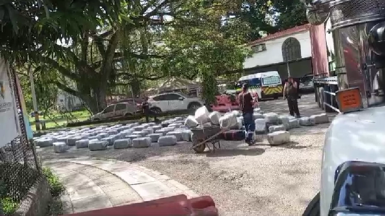 cargamento-marihuana-lapintada-incautacion-suroesteantioquia3