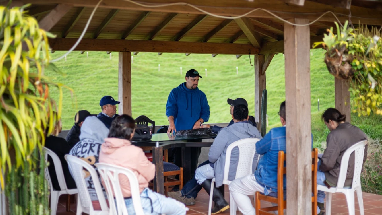 En Girardota fortalecen el sector agrícola con asesorías técnicas e insumos que impulsan el crecimiento sostenible 2 crecimiento-sector-agricola-girardota