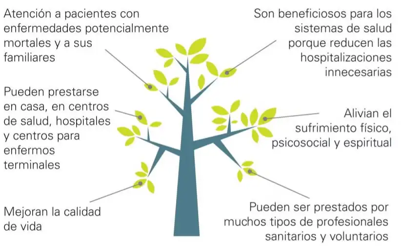 cuidados-paliativos-