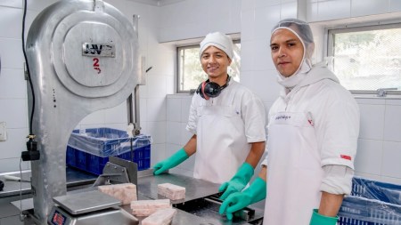 empresas-alimentos-empresarios-medellin-trabajo
