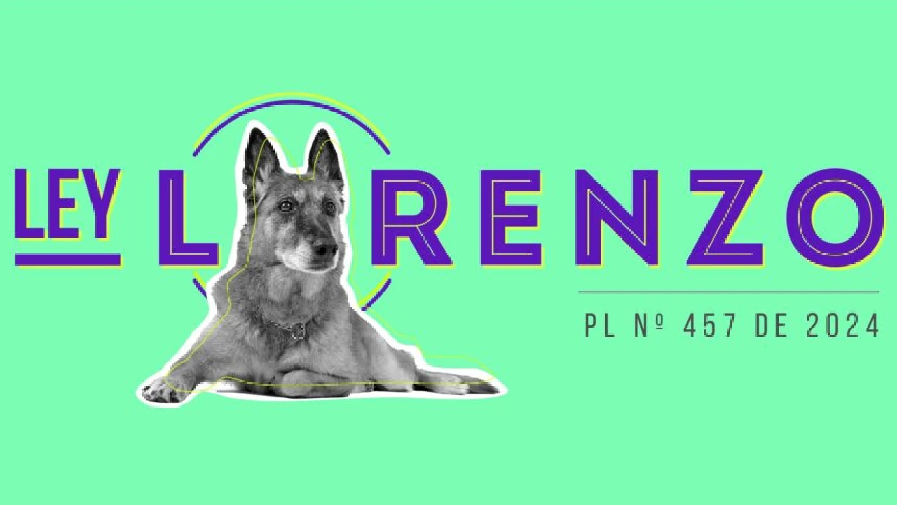 ley-lorenzo-perros-dignos-servicio-vigilancia