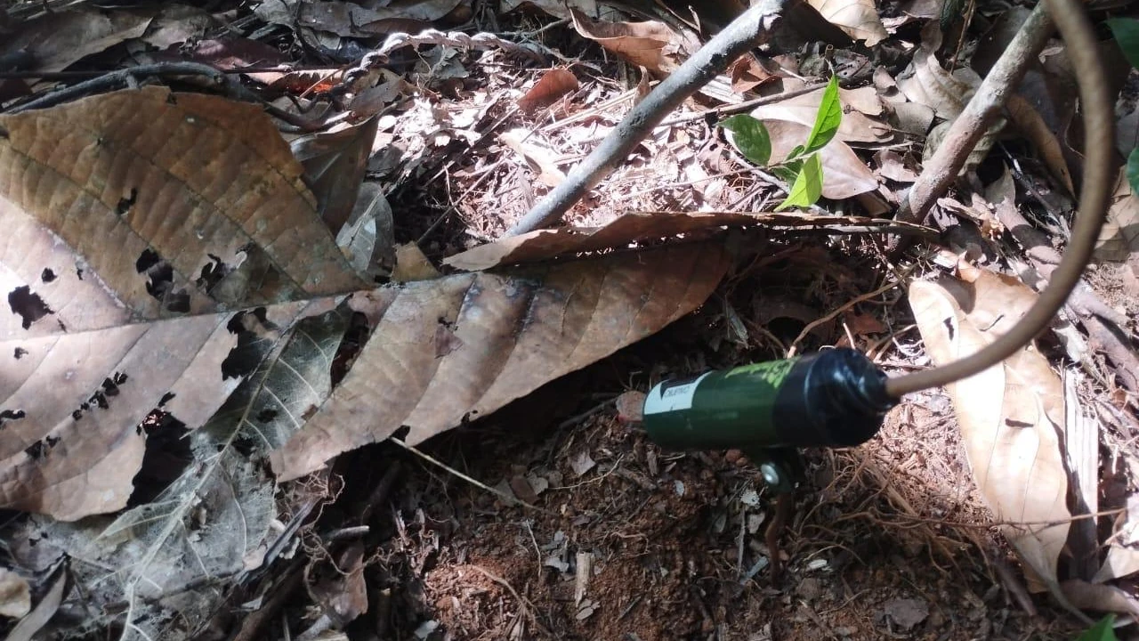 mina-antipersonal-destruida-caceres1