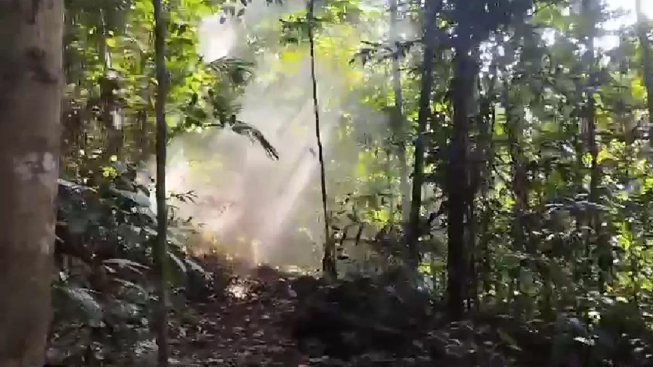 mina-antipersonal-destruida-caceres3