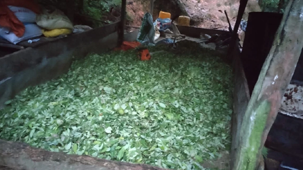 seis-laboratorios-coca-destruidos-antioquia-valdivia-cordoba4