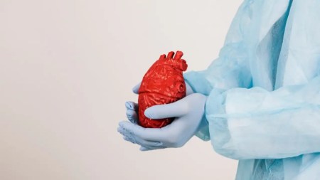 Un acto de generosidad que salva vidas: Día Mundial del Trasplante de órganos y tejidos trasplante-de-órganos