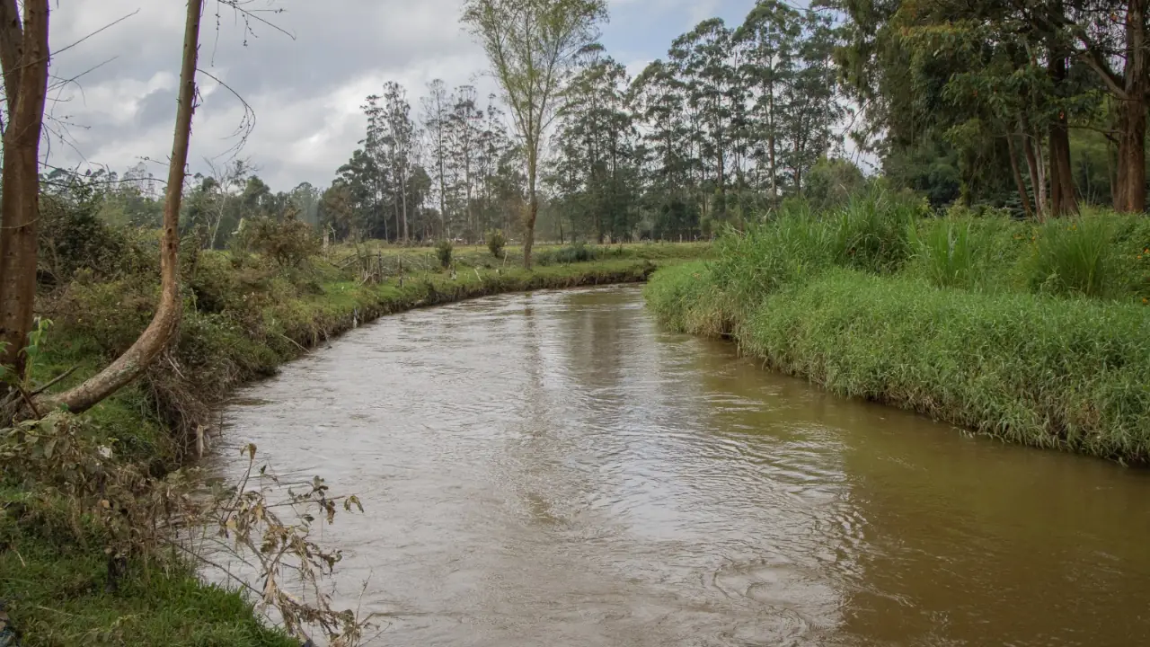 Cornare, Marinilla y El Santuario unen esfuerzos por la conservación de la Quebrada La Marinilla 1 Cornare, Marinilla y El Santuario unen esfuerzos por la conservación de la Quebrada La Marinilla