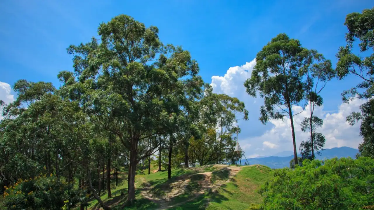 Medellín se une a la Hora del Planeta con apagón en su Centro Administrativo