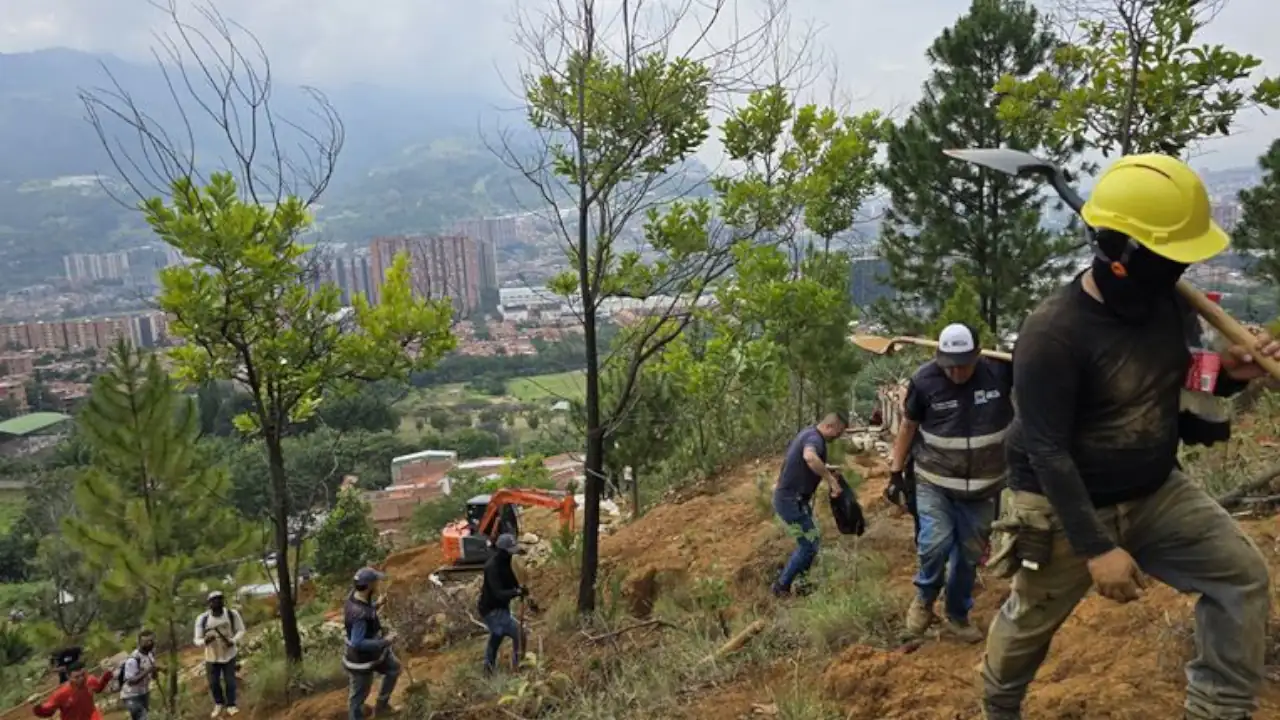 Policía y Alcaldía de Bello desmantelan loteo ilegal en Cerro Quitasol