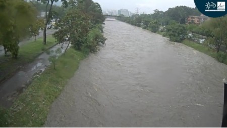 ¿Ya vio el río Medellín? Con el aguacero, su nivel subió y en un sector de la ciudad casi se desborda