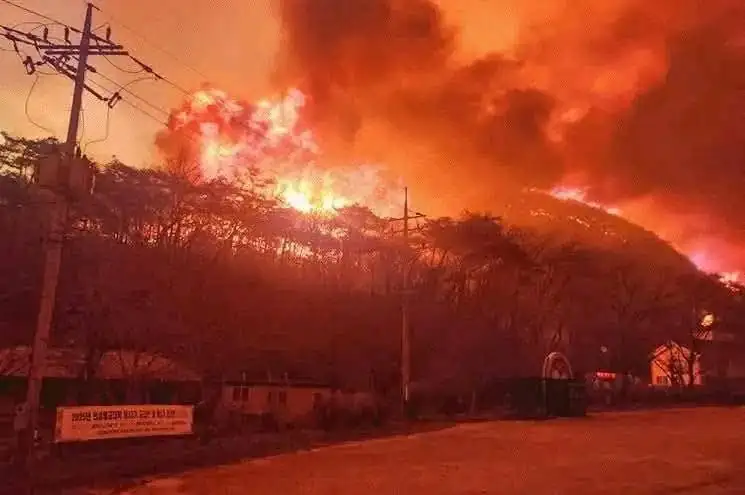 Incendio-Corea-del-sur-3