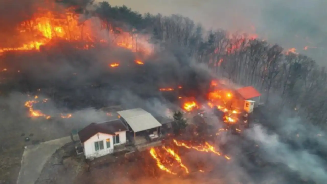 Incendio-corea-del-sur