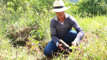 Restaurando-territorios
