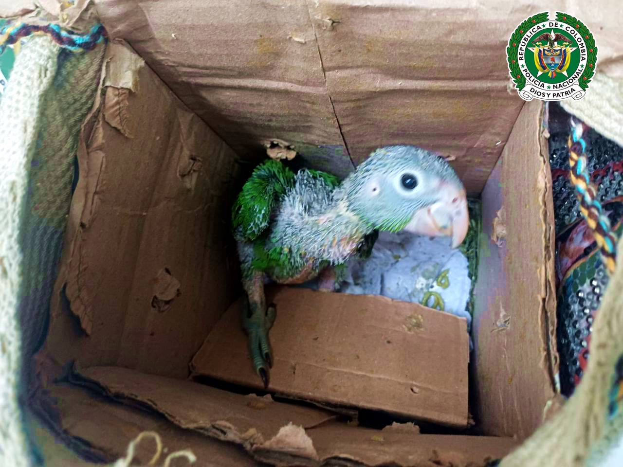 WhatsApp Image 2025 03 18 at 6.33.14 AM 1