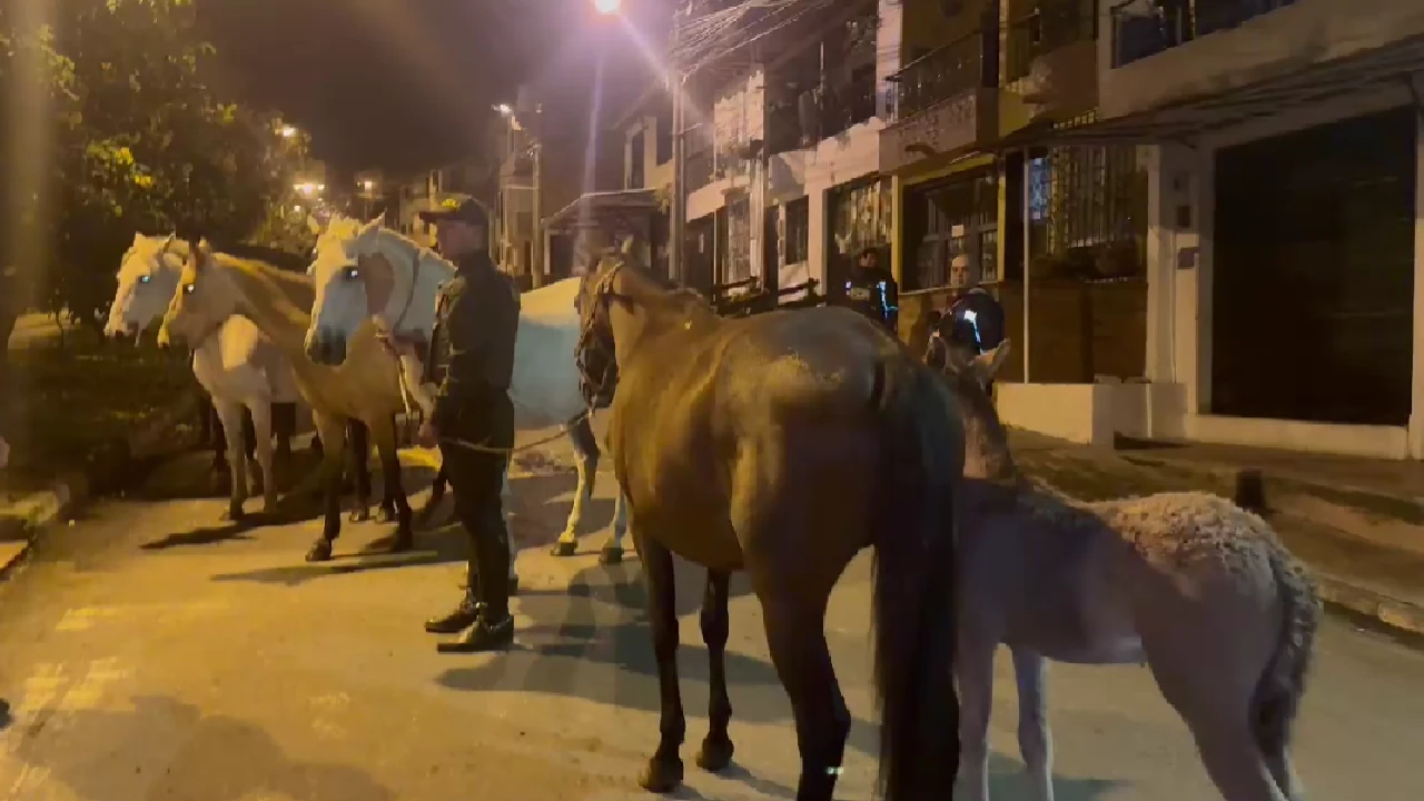 aprehension-semovientes-caballos-mala-tenencia-carmenviboral3
