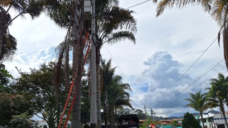 camaras-seguridad-laceja-seguridad1