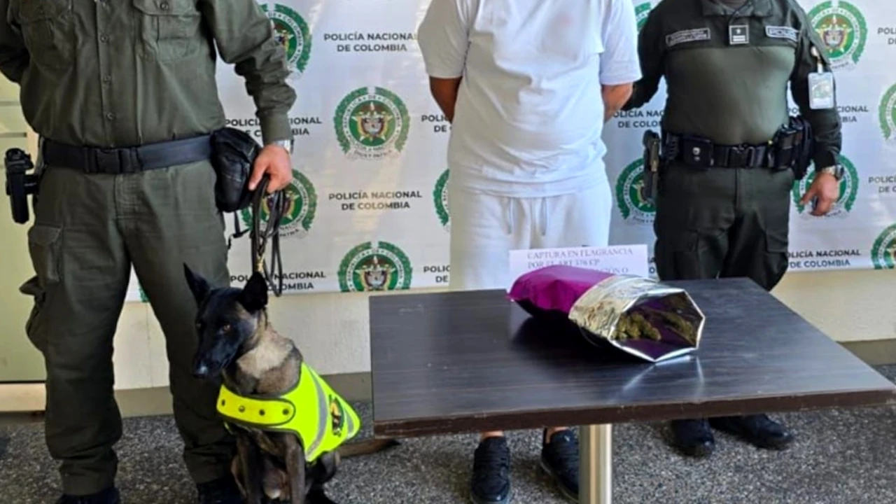 canino-policia-primer-trabajo-incautacion-droga