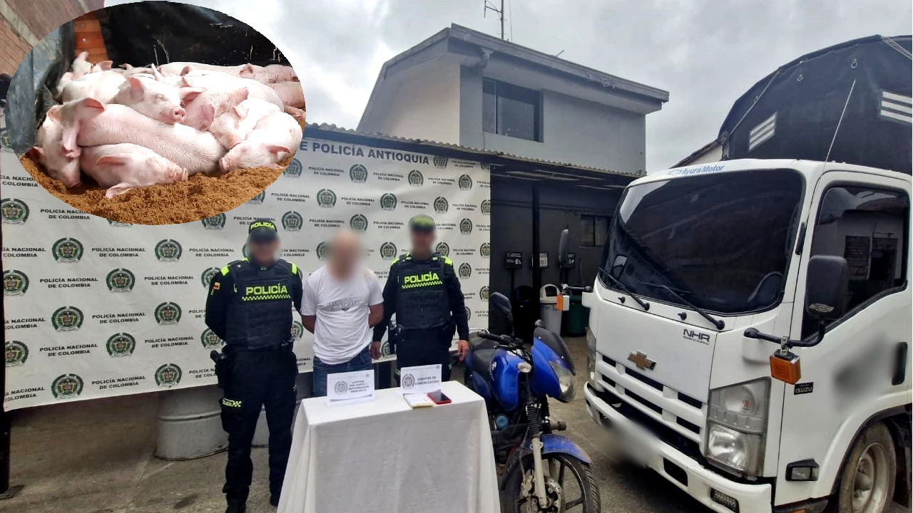 captura-sanpedromilagros-hurto-camion-cerdos-moto