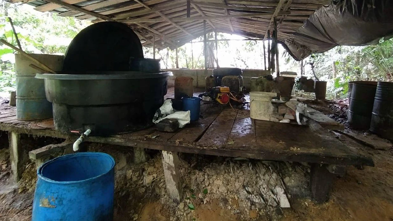 Desmantelan 3 laboratorios de coca en El Bagre, pertenecerían al Clan del Golfo y producían 300 kilos de droga 2 complejos-cocaleros-destruidos-elbagre-cordoba-clangolfo1