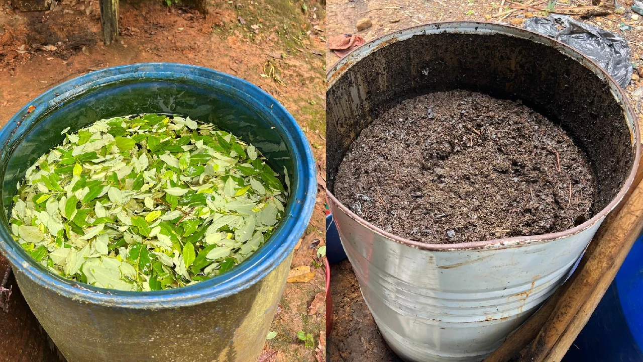 Desmantelan 3 laboratorios de coca en El Bagre, pertenecerían al Clan del Golfo y producían 300 kilos de droga 4 complejos-cocaleros-destruidos-elbagre-cordoba-clangolfo4