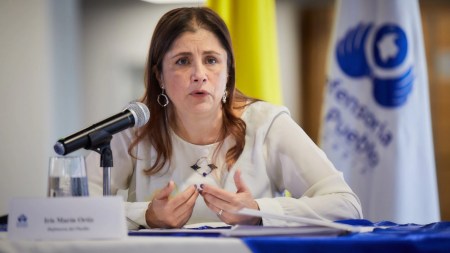 Defensora del Pueblo, Iris Marín Ortiz