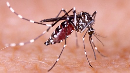 En Antioquia, habrá semana de prevención del Dengue y la Tuberculosis En Antioquia, habrá semana de prevención del Dengue y la Tuberculosis