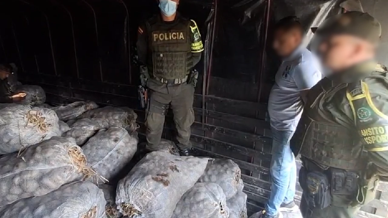 Incautan 476 Kilos de cocaína que iban ocultos en bultos de papa en un camión en el Cauca 1 droga-hallada-bultos-papa-cauca1