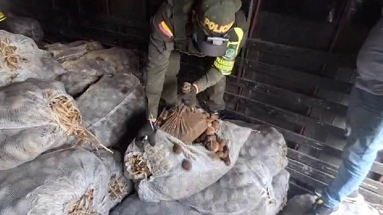 Incautan 476 Kilos de cocaína que iban ocultos en bultos de papa en un camión en el Cauca droga-hallada-bultos-papa-cauca2