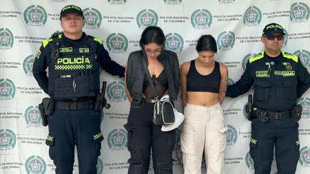 escopolaminando gringos