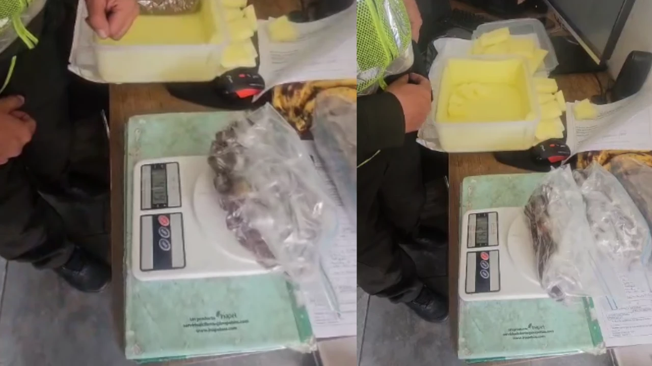 incautacion-calculos-biliares-bovino-medellin-bogota4