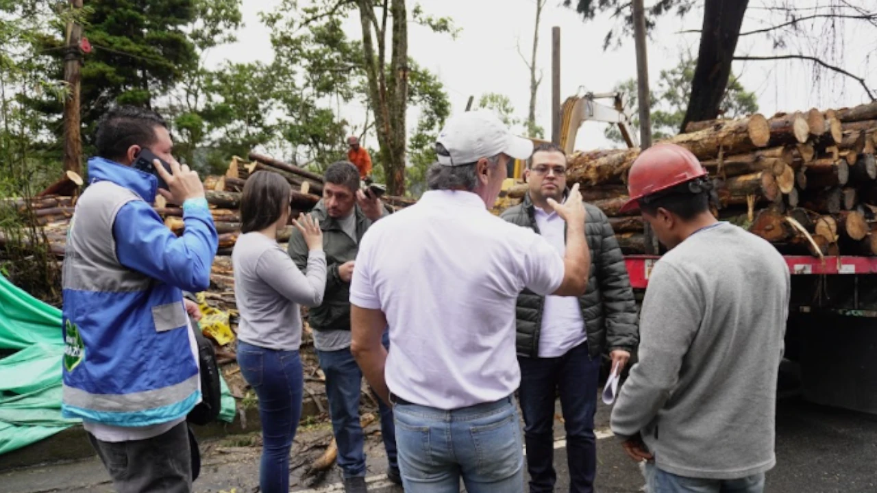 incautacion-madera-antioquia-corantioquia-deforestacion-departamento