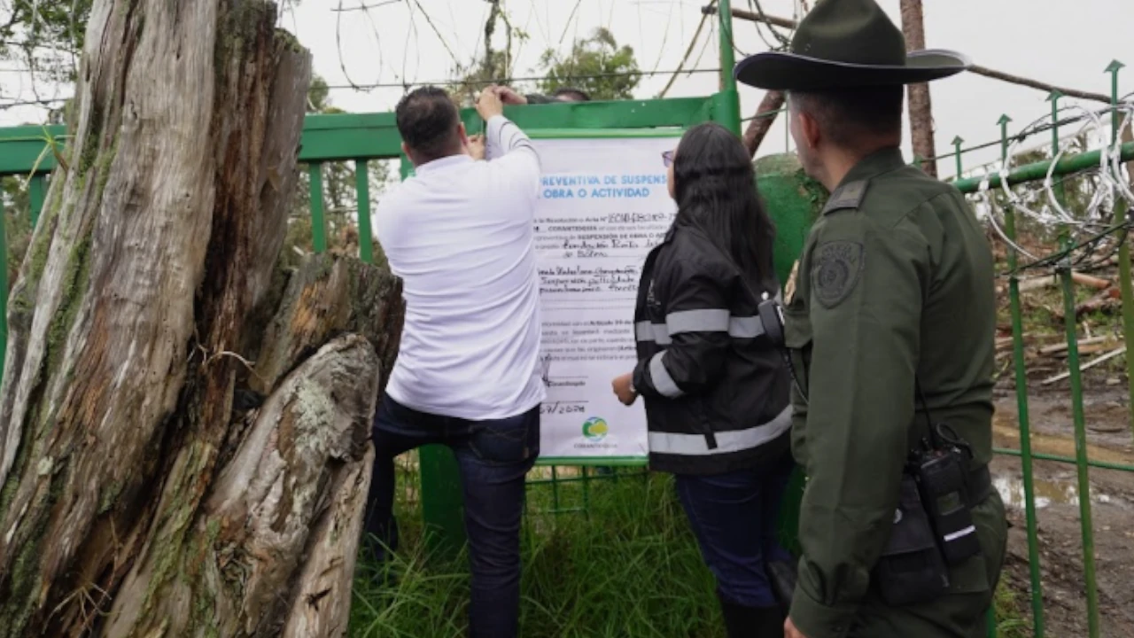 incautacion-madera-antioquia-corantioquia-deforestacion-departamento1
