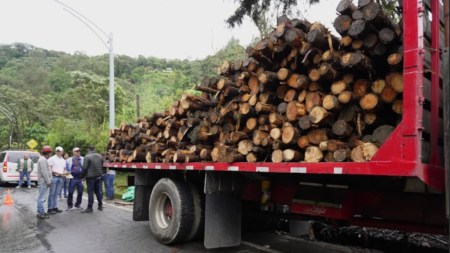 incautacion-madera-antioquia-corantioquia-deforestacion-departamento2