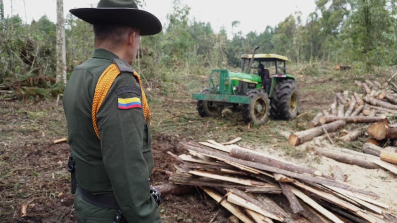 incautacion-madera-antioquia-corantioquia-deforestacion-departamento3