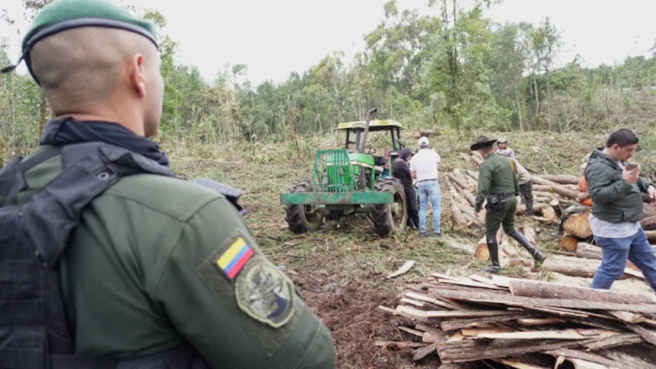 incautacion-madera-antioquia-corantioquia-deforestacion-departamento5