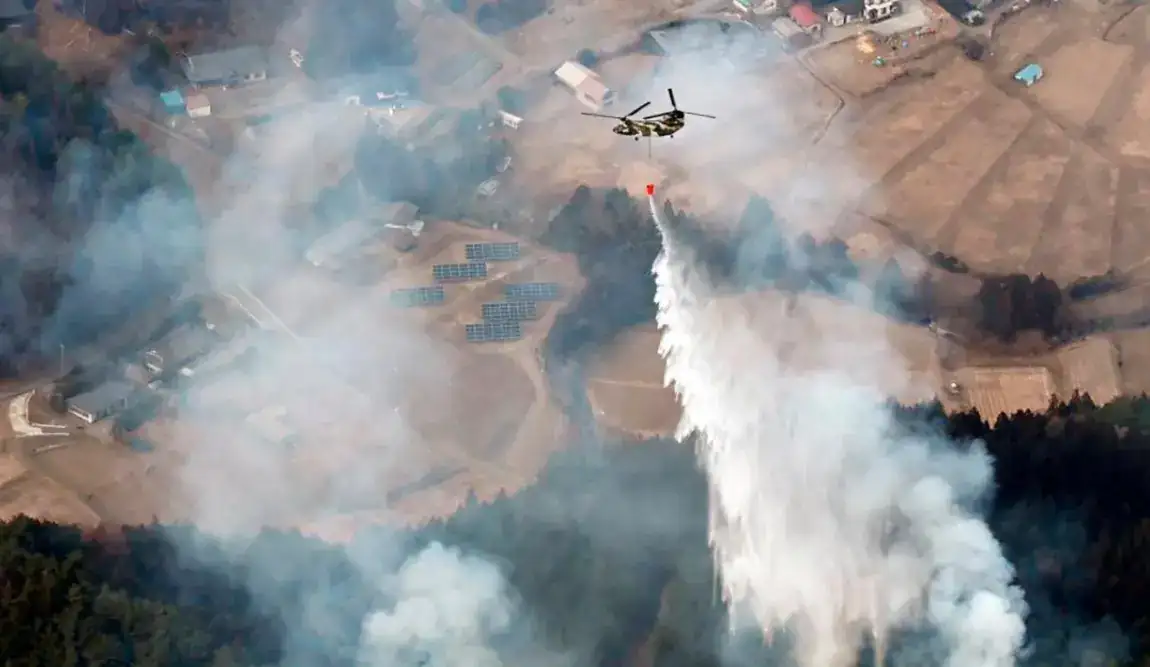 Videos. ¡El peor en décadas! Incendio forestal en Japón deja una persona muerta y arrasa con más de 2.500 hectáreas 1 incendio-Japón-2