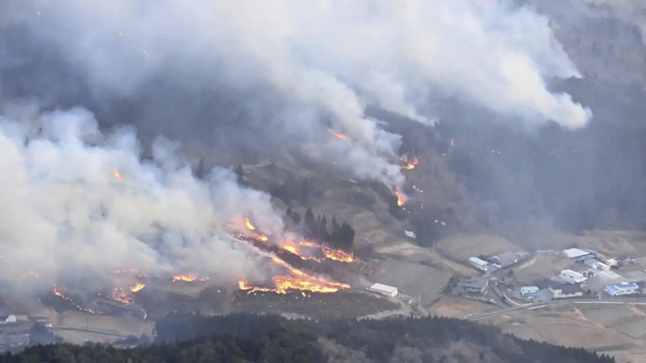 Videos. ¡El peor en décadas! Incendio forestal en Japón deja una persona muerta y arrasa con más de 2.500 hectáreas incendio-Japón