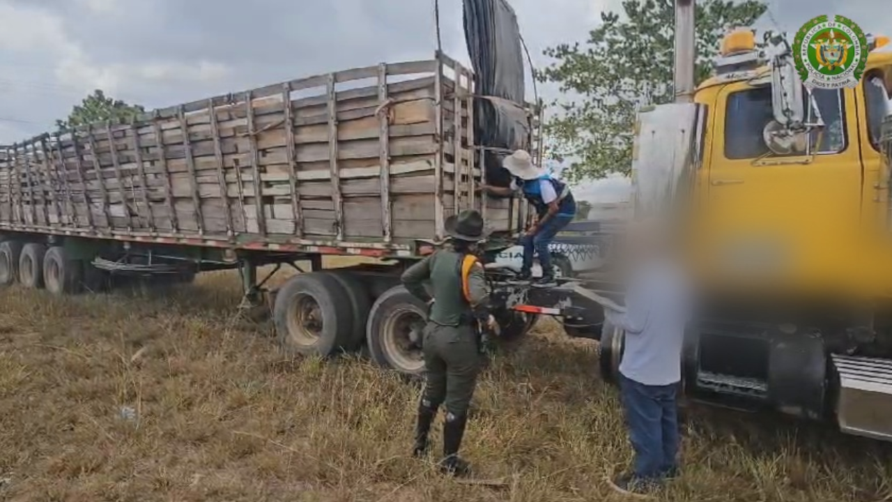 madera-incautada-via-caucasia