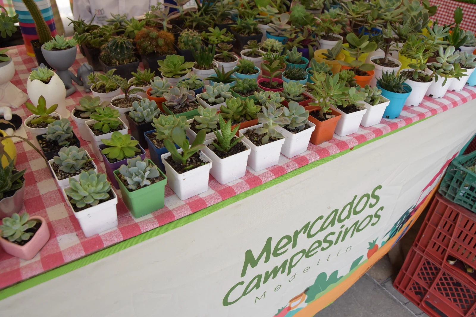 mercados-campesinos-