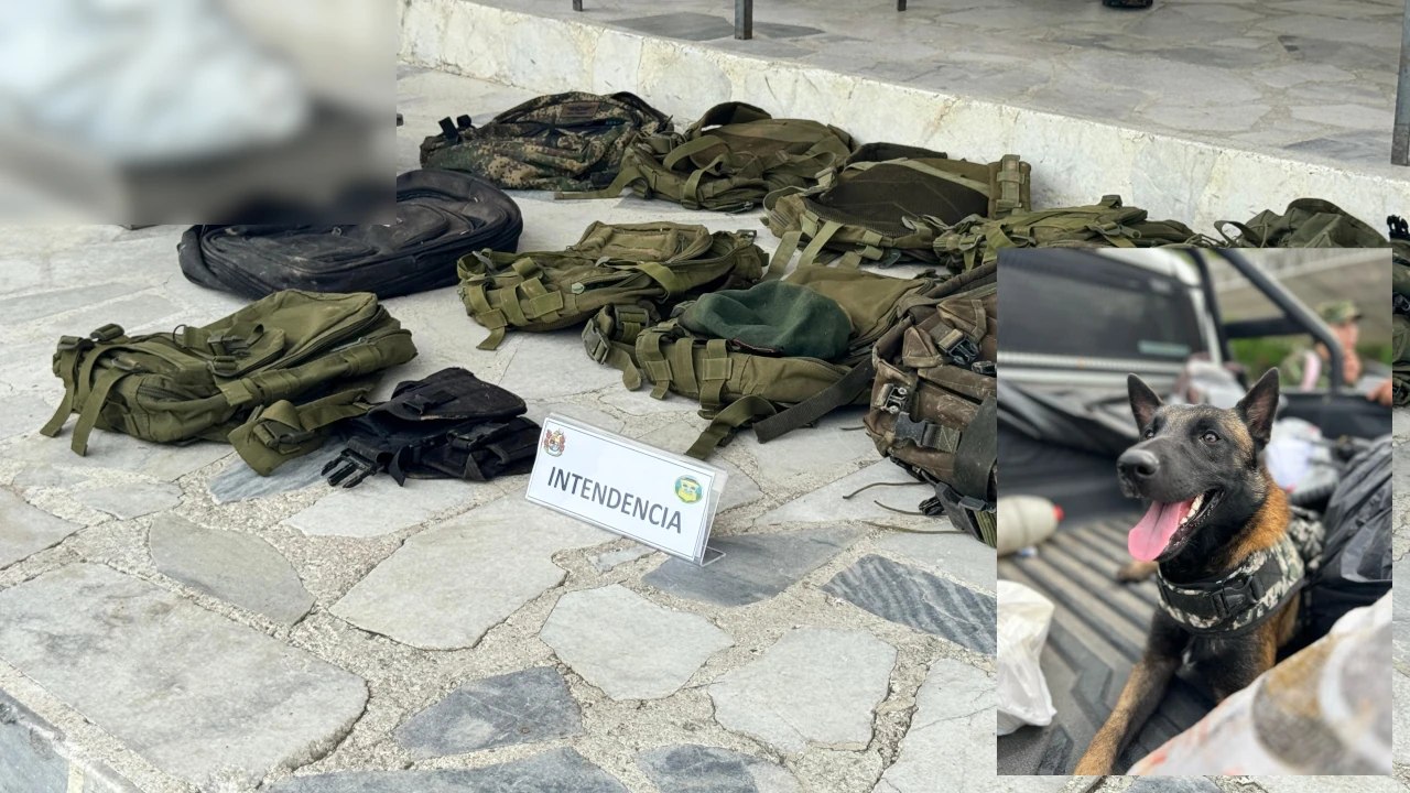 ofensiva-crimen-huila-rescate-canino