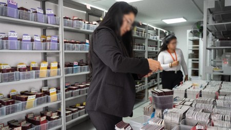 pasaportes-pendientes-reclamar-seran-destruidos2