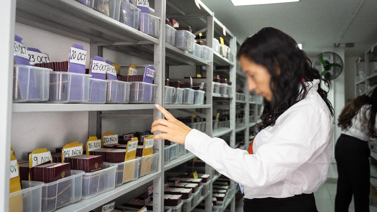 pasaportes-pendientes-reclamar-seran-destruidos3