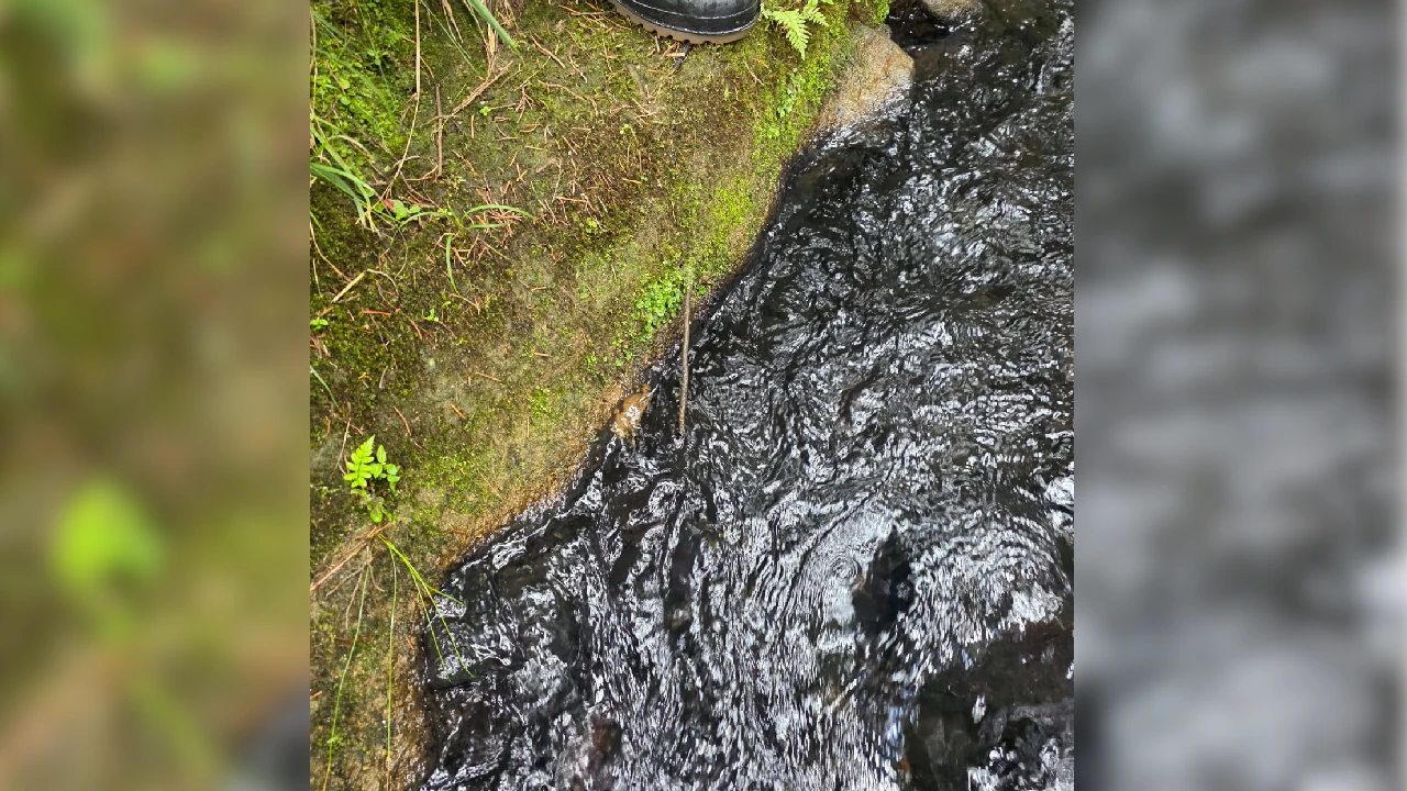 vertimiento-irregular-quebrada-yarumal-rionwgro-suinsitro-agua1