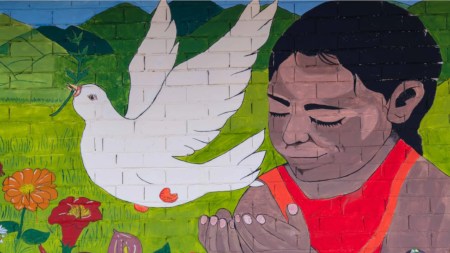 Hay alerta por aumento de violencia contra mujeres firmantes de Paz y defensoras de derechos humanos: Procuraduría Defensores-genero-mujeres-firmantes-paz-lideresas-victimasconflicto-derechoshumanos-colombia