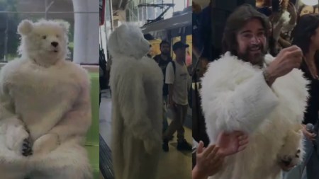 metro-de-medellin-oso-juanes