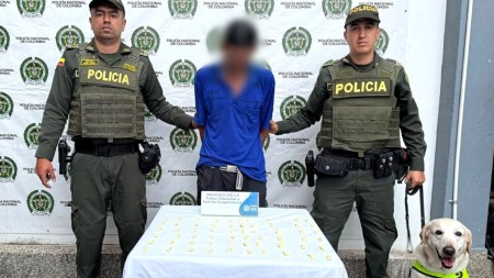 El policia de cuatro patas: «Rokky» ayudó a capturar a traficante de bazuco en en la vía Medellín-Rionegro perro-policia-rokky-antioquia
