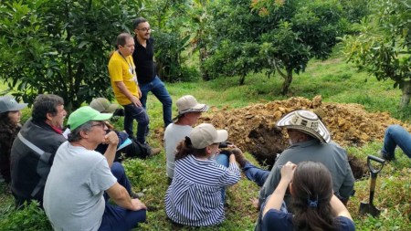 ¡Un proyecto innovador! El ITM Impulsa la agricultura urbana con inteligencia artificial Cultivos-1-agricultura-urbana-con-inteligencia-artificial-itm