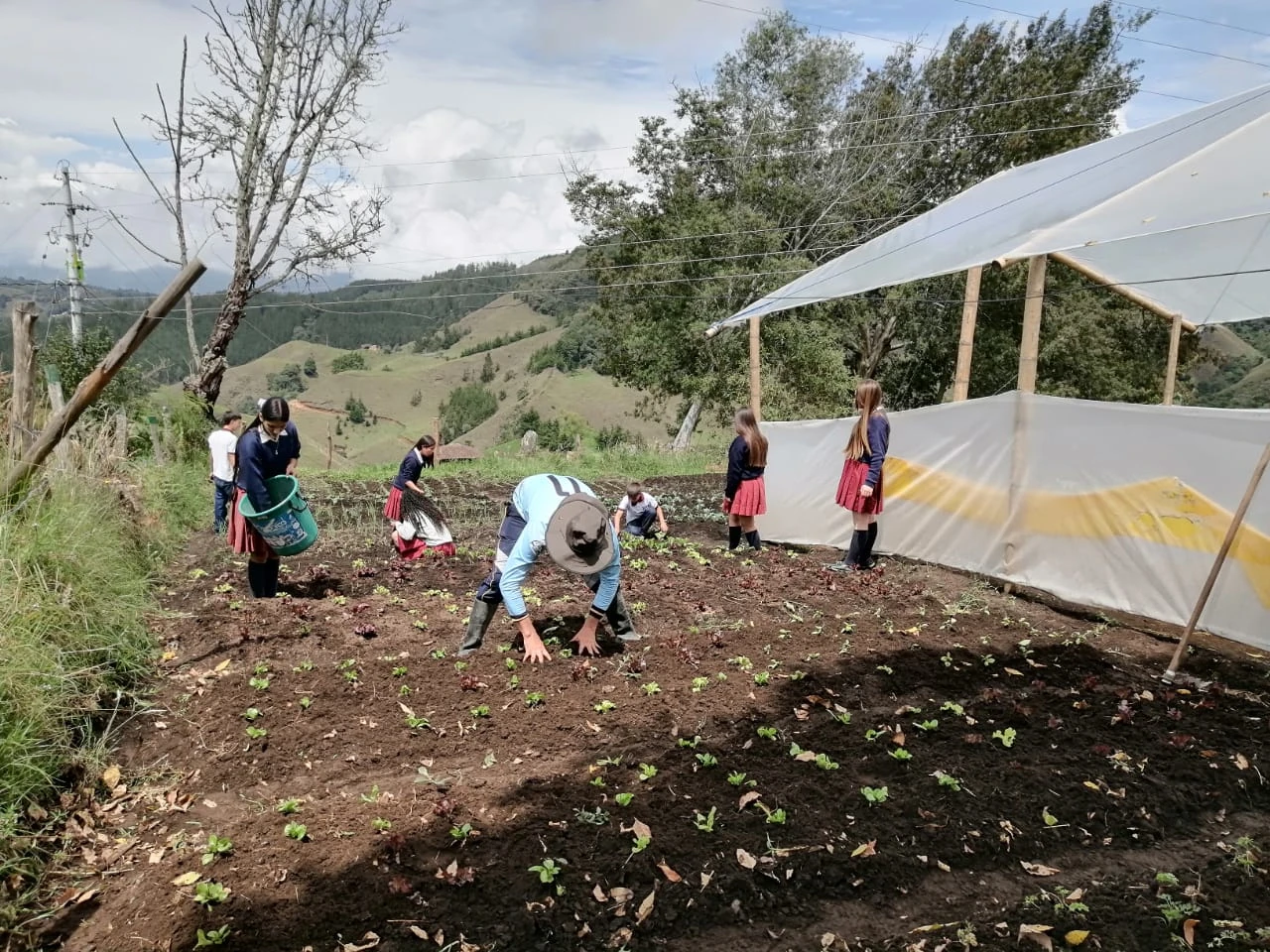 Huertas agroforestales fortalecen la seguridad alimentaria en La Ceja: 47 familias rurales se han beneficiado 3 La-Ceja-3
