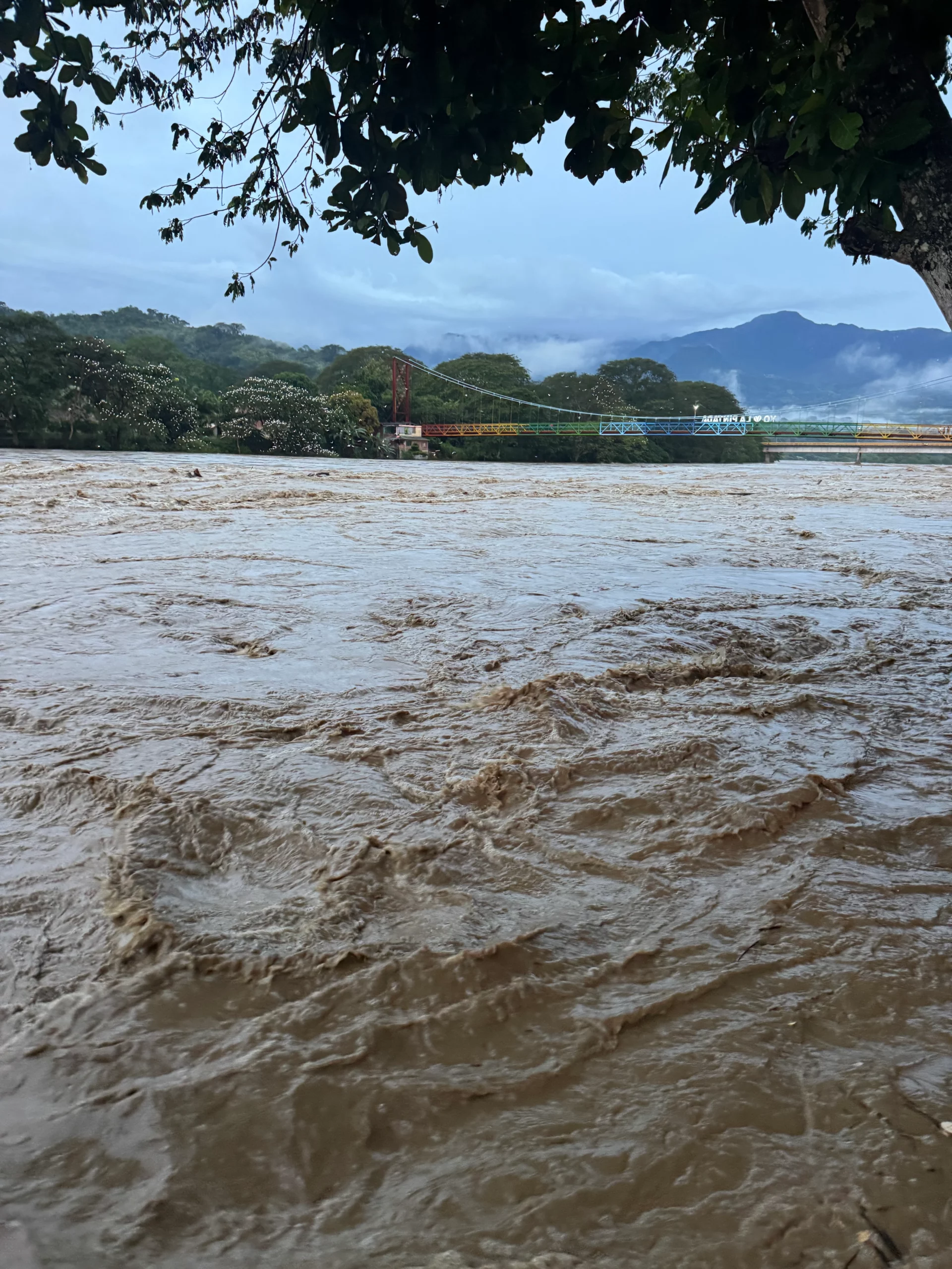 Fotos| El desbordamiento del río Cauca deja a 3.800 personas damnificadas y 2.200 viviendas afectadas en La Pintada 1 La-Pintada-1